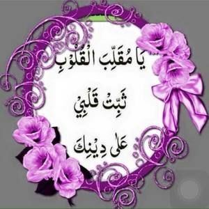 Meet your Posher, Samina